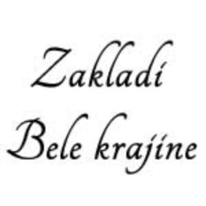 logo_zbk-300x300